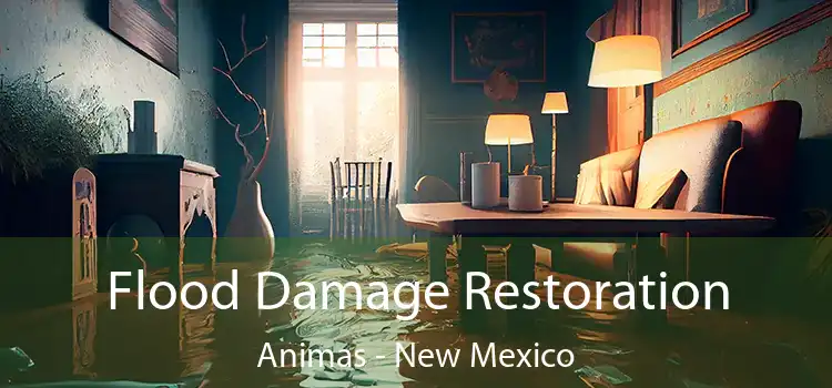 Flood Damage Restoration Animas - New Mexico