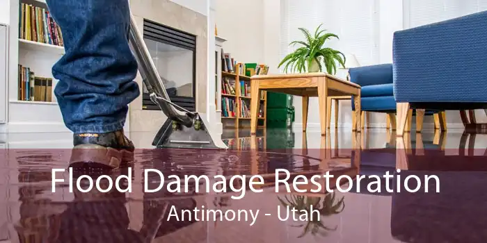 Flood Damage Restoration Antimony - Utah