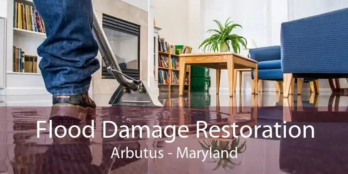 Flood Damage Restoration Arbutus - Maryland