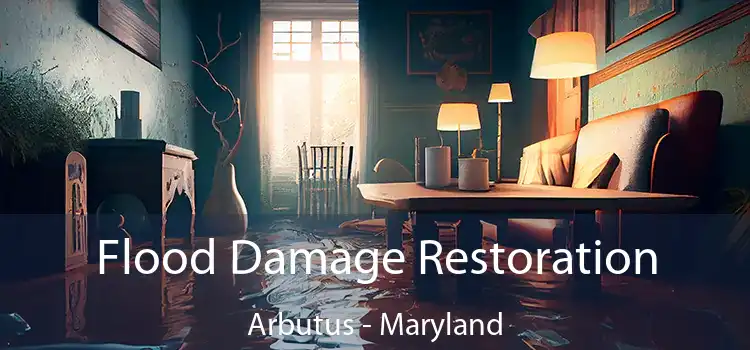 Flood Damage Restoration Arbutus - Maryland