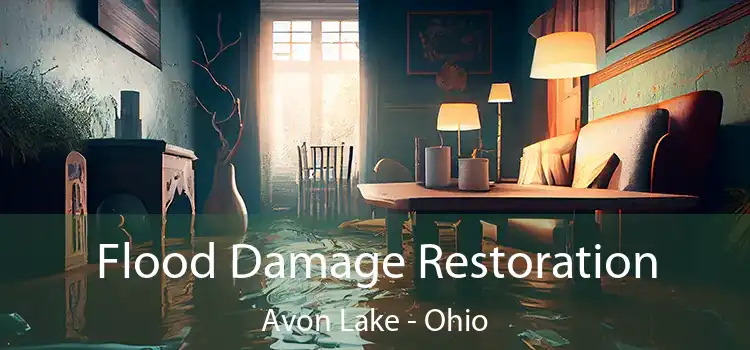 Flood Damage Restoration Avon Lake - Ohio