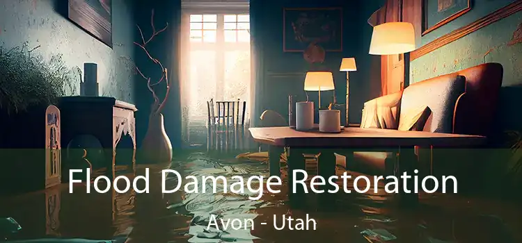 Flood Damage Restoration Avon - Utah