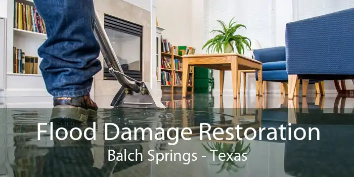 Flood Damage Restoration Balch Springs - Texas