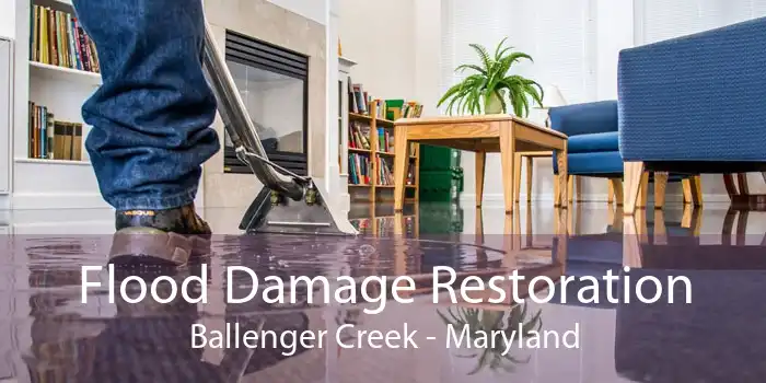 Flood Damage Restoration Ballenger Creek - Maryland