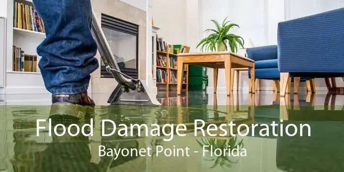 Flood Damage Restoration Bayonet Point - Florida