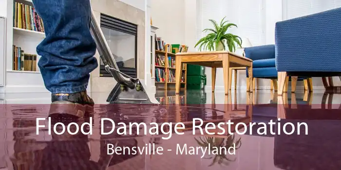 Flood Damage Restoration Bensville - Maryland