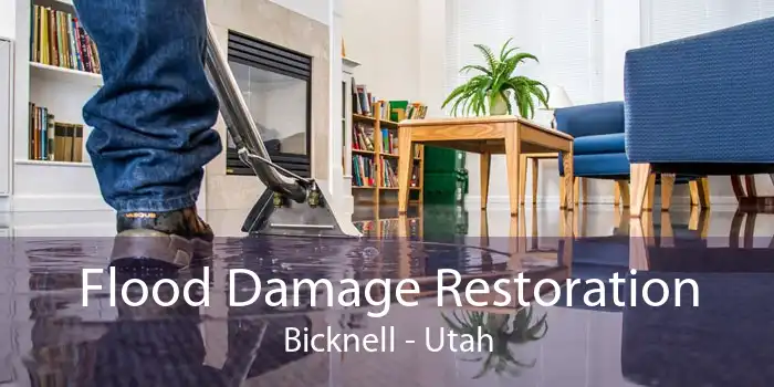 Flood Damage Restoration Bicknell - Utah