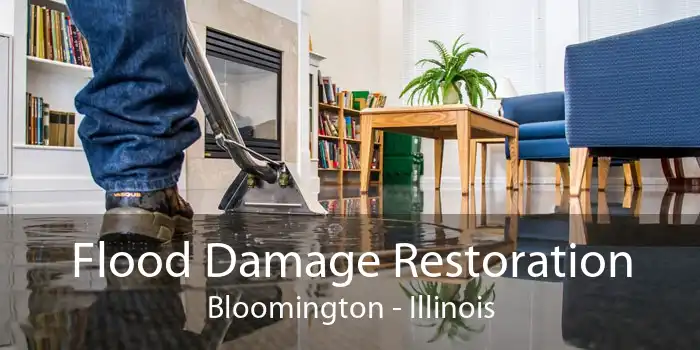 Flood Damage Restoration Bloomington - Illinois
