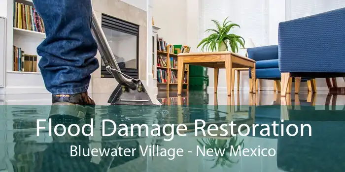 Flood Damage Restoration Bluewater Village - New Mexico