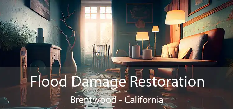 Flood Damage Restoration Brentwood - California