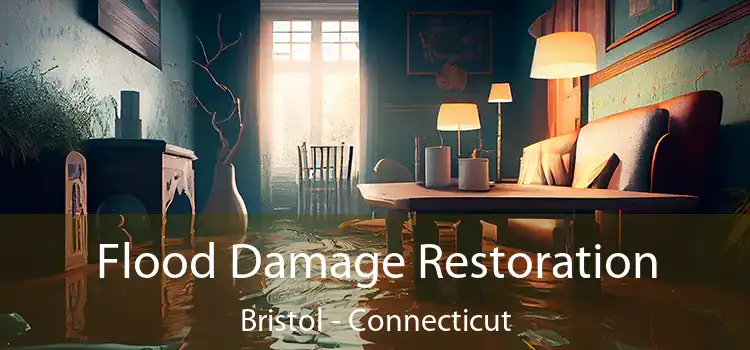 Flood Damage Restoration Bristol - Connecticut