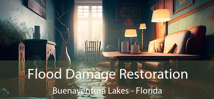 Flood Damage Restoration Buenaventura Lakes - Florida