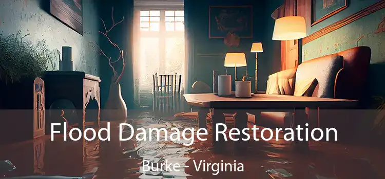 Flood Damage Restoration Burke - Virginia