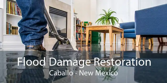 Flood Damage Restoration Caballo - New Mexico