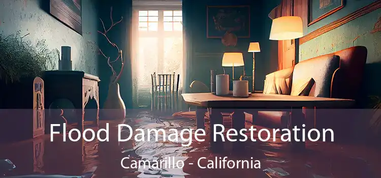 Flood Damage Restoration Camarillo - California