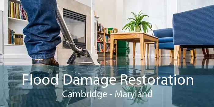 Flood Damage Restoration Cambridge - Maryland