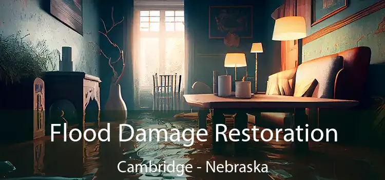 Flood Damage Restoration Cambridge - Nebraska