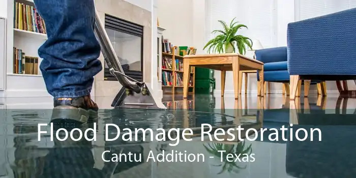 Flood Damage Restoration Cantu Addition - Texas