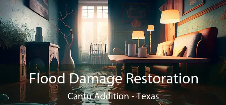 Flood Damage Restoration Cantu Addition - Texas