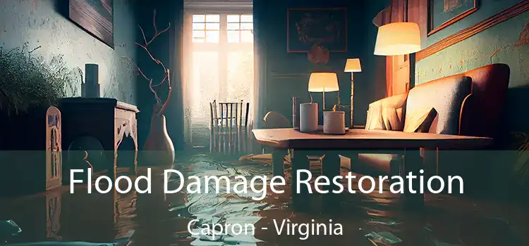 Flood Damage Restoration Capron - Virginia