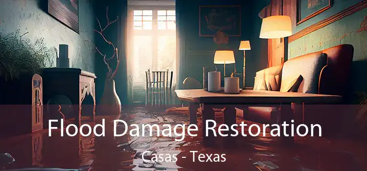 Flood Damage Restoration Casas - Texas