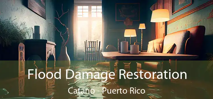 Flood Damage Restoration Catano - Puerto Rico