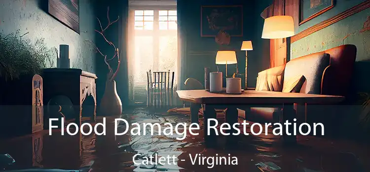 Flood Damage Restoration Catlett - Virginia