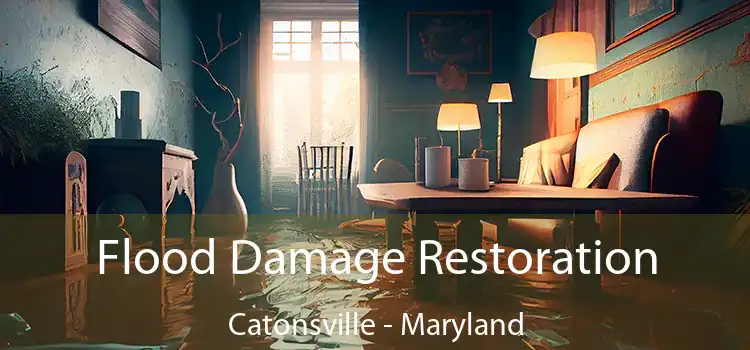 Flood Damage Restoration Catonsville - Maryland