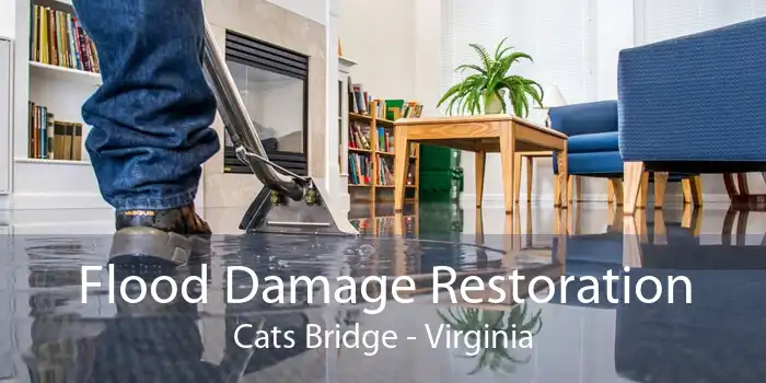Flood Damage Restoration Cats Bridge - Virginia
