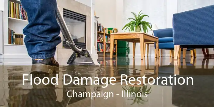 Flood Damage Restoration Champaign - Illinois