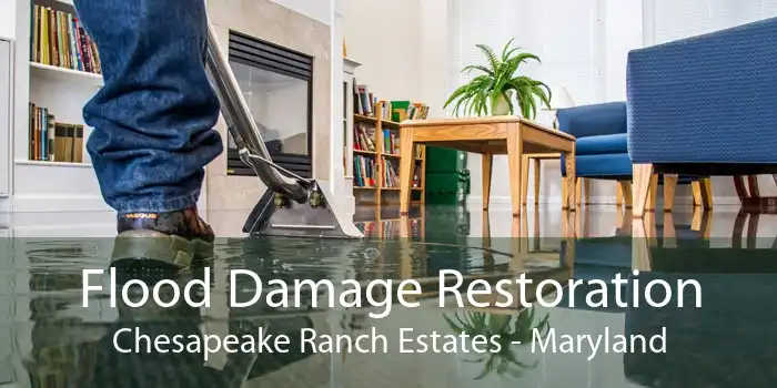 Flood Damage Restoration Chesapeake Ranch Estates - Maryland