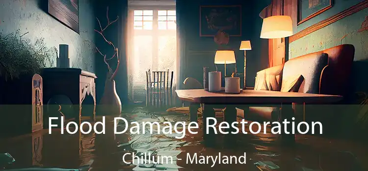 Flood Damage Restoration Chillum - Maryland