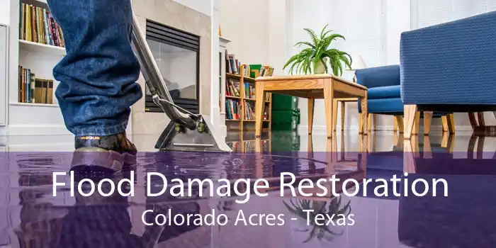 Flood Damage Restoration Colorado Acres - Texas