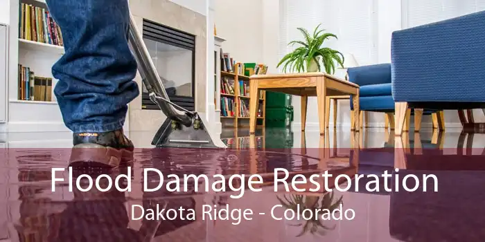 Flood Damage Restoration Dakota Ridge - Colorado