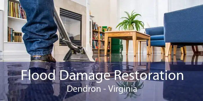 Flood Damage Restoration Dendron - Virginia