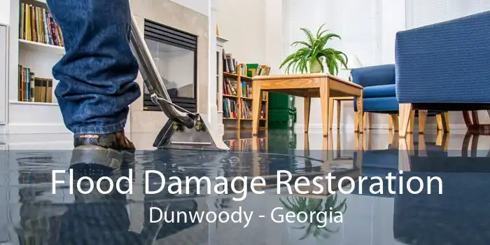 Flood Damage Restoration Dunwoody - Georgia