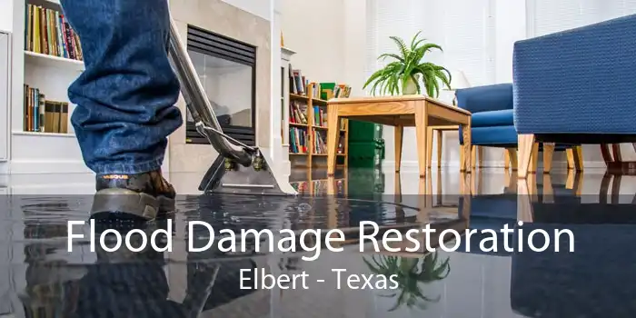 Flood Damage Restoration Elbert - Texas