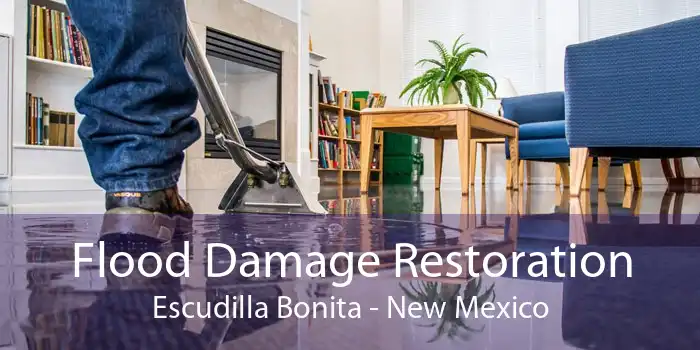 Flood Damage Restoration Escudilla Bonita - New Mexico