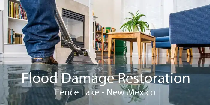 Flood Damage Restoration Fence Lake - New Mexico