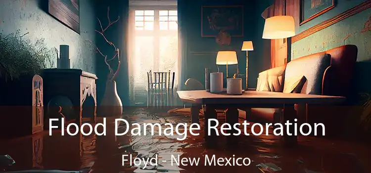 Flood Damage Restoration Floyd - New Mexico