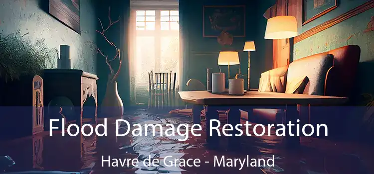 Flood Damage Restoration Havre de Grace - Maryland