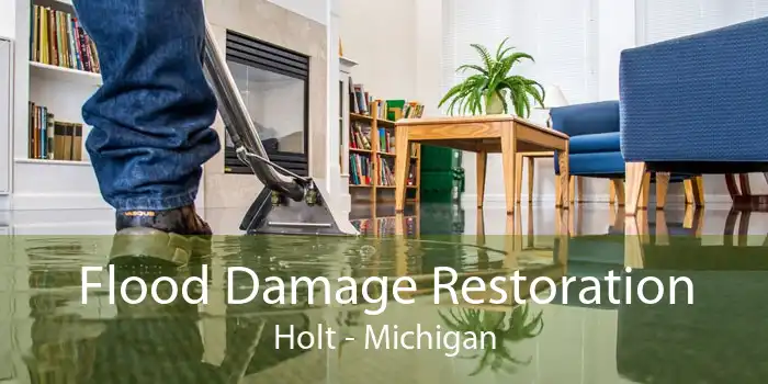 Flood Damage Restoration Holt - Michigan