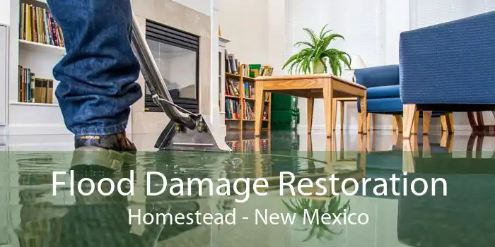 Flood Damage Restoration Homestead - New Mexico