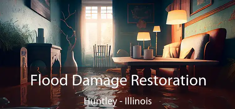 Flood Damage Restoration Huntley - Illinois