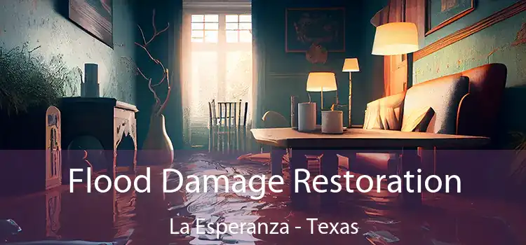 Flood Damage Restoration La Esperanza - Texas