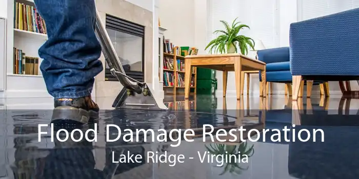 Flood Damage Restoration Lake Ridge - Virginia