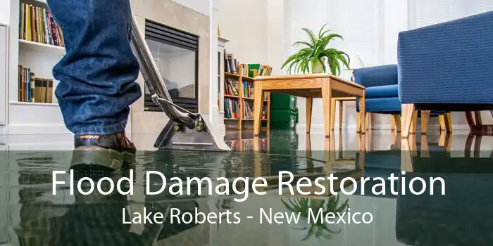 Flood Damage Restoration Lake Roberts - New Mexico