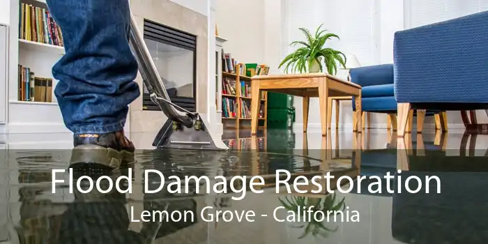 Flood Damage Restoration Lemon Grove - California