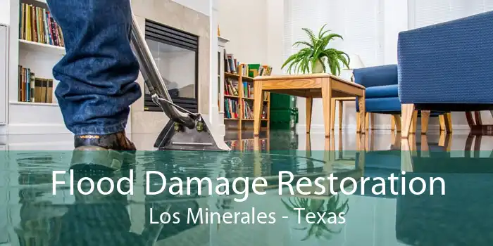 Flood Damage Restoration Los Minerales - Texas