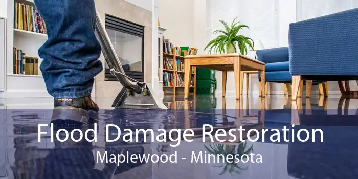 Flood Damage Restoration Maplewood - Minnesota